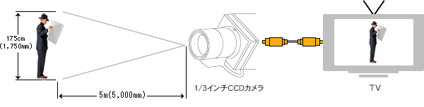 1/3�C���`CCD�E�B�e����5���E�g����175cm�̐l������ʈ�t�ɎB�e����ꍇ�̃����Y�I����@