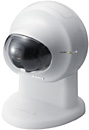 SONY�\�j�[�h�ƃJ���� �l�b�g���[�N�J����SNC-P5